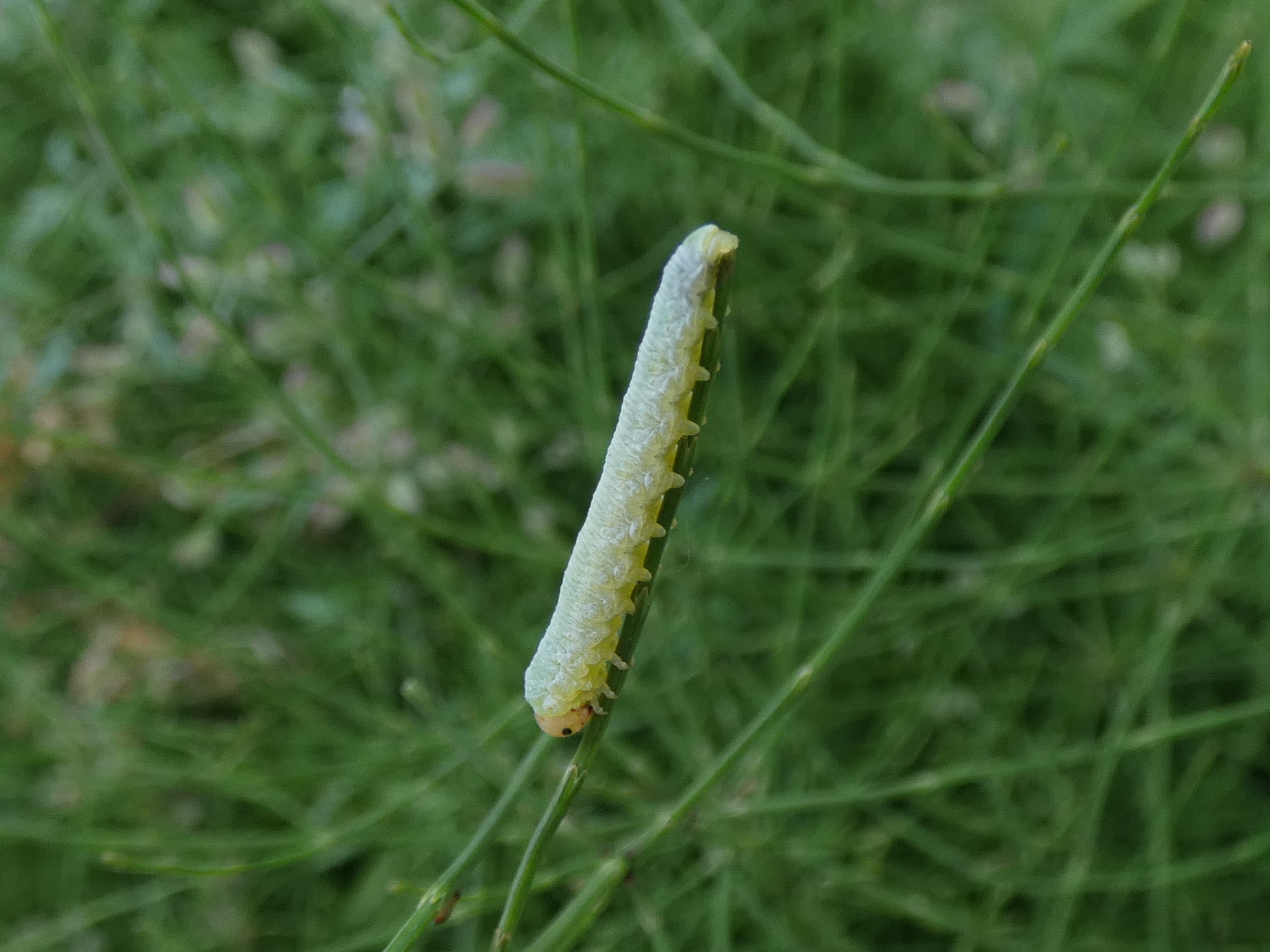 photo_1